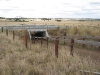 colac-cp-gallery9_2